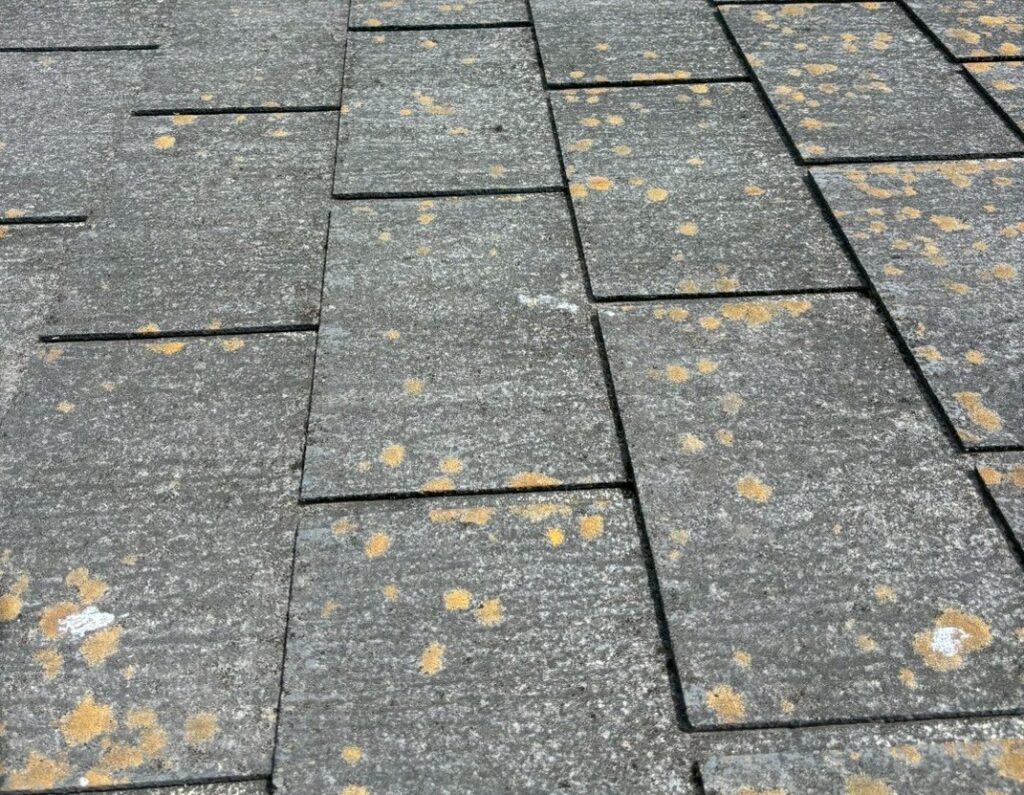 小倉南区　E様　屋根着工 (2)